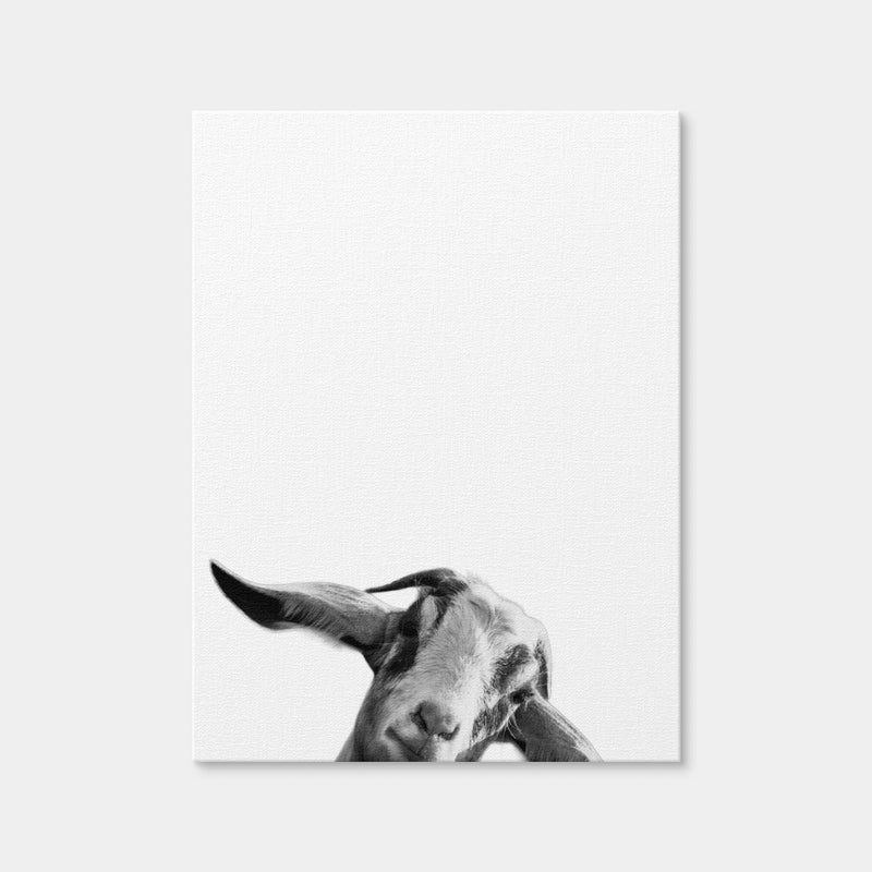 AUTO-MOCKUP WHITE | Goat | 1 Piece | Gallery Wrap Canvas | group=3x4