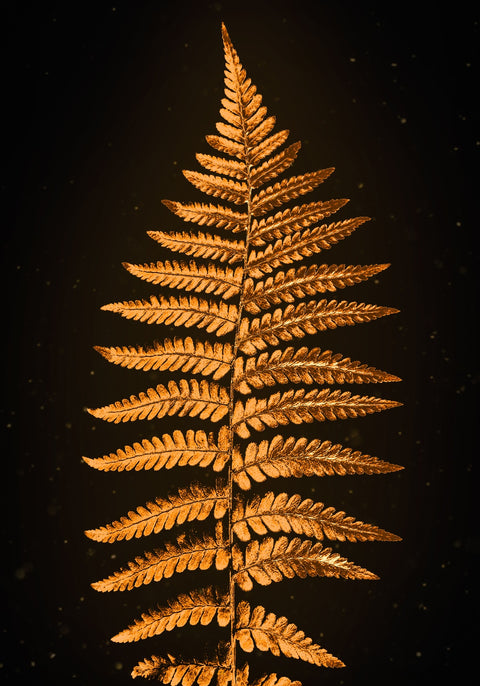 Golden Ferns Wall Art