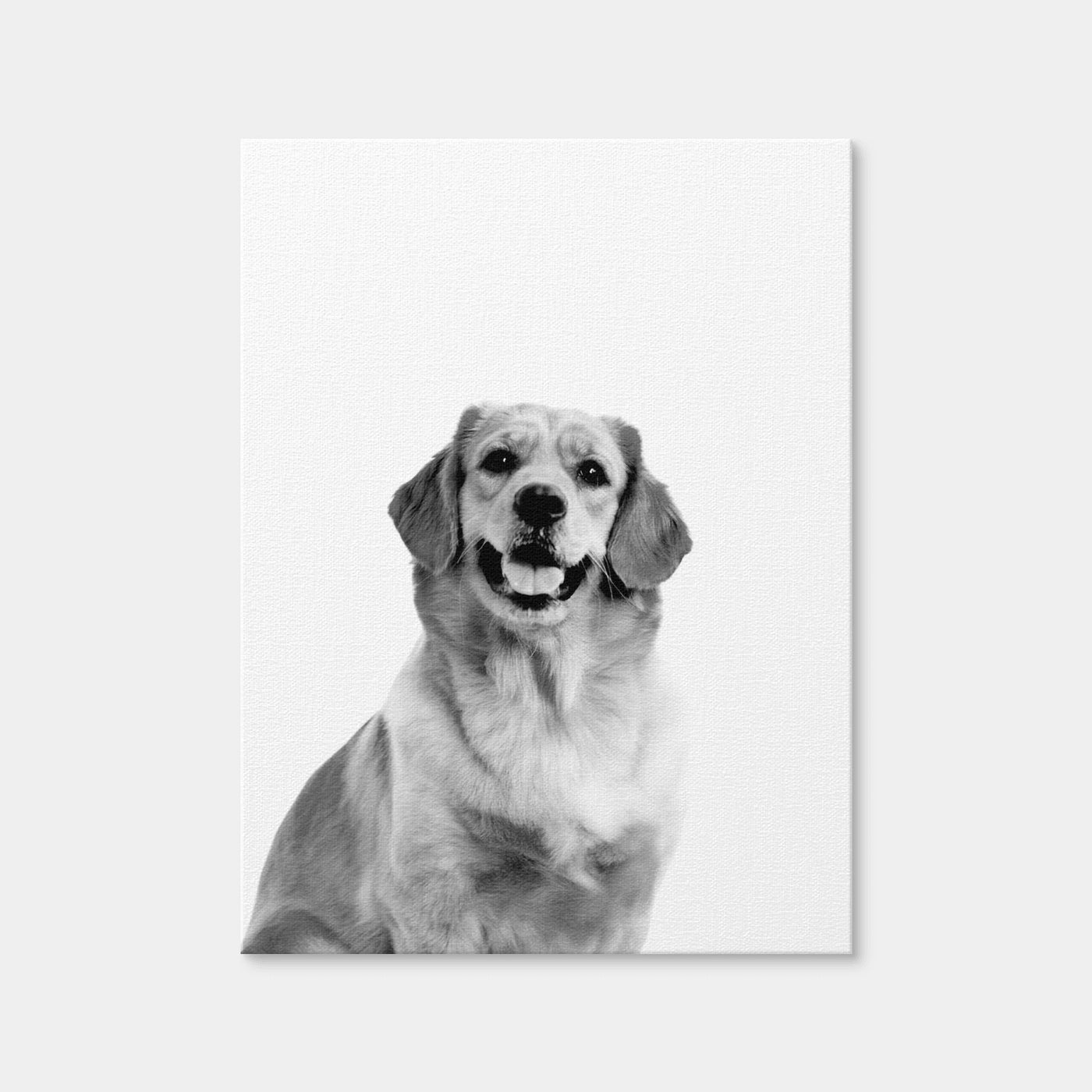 AUTO-MOCKUP WHITE | Golden Retriever | 1 Piece | Gallery Wrap Canvas | group=3x4