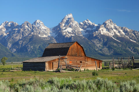 Grand Tetons and old barn Wall Art