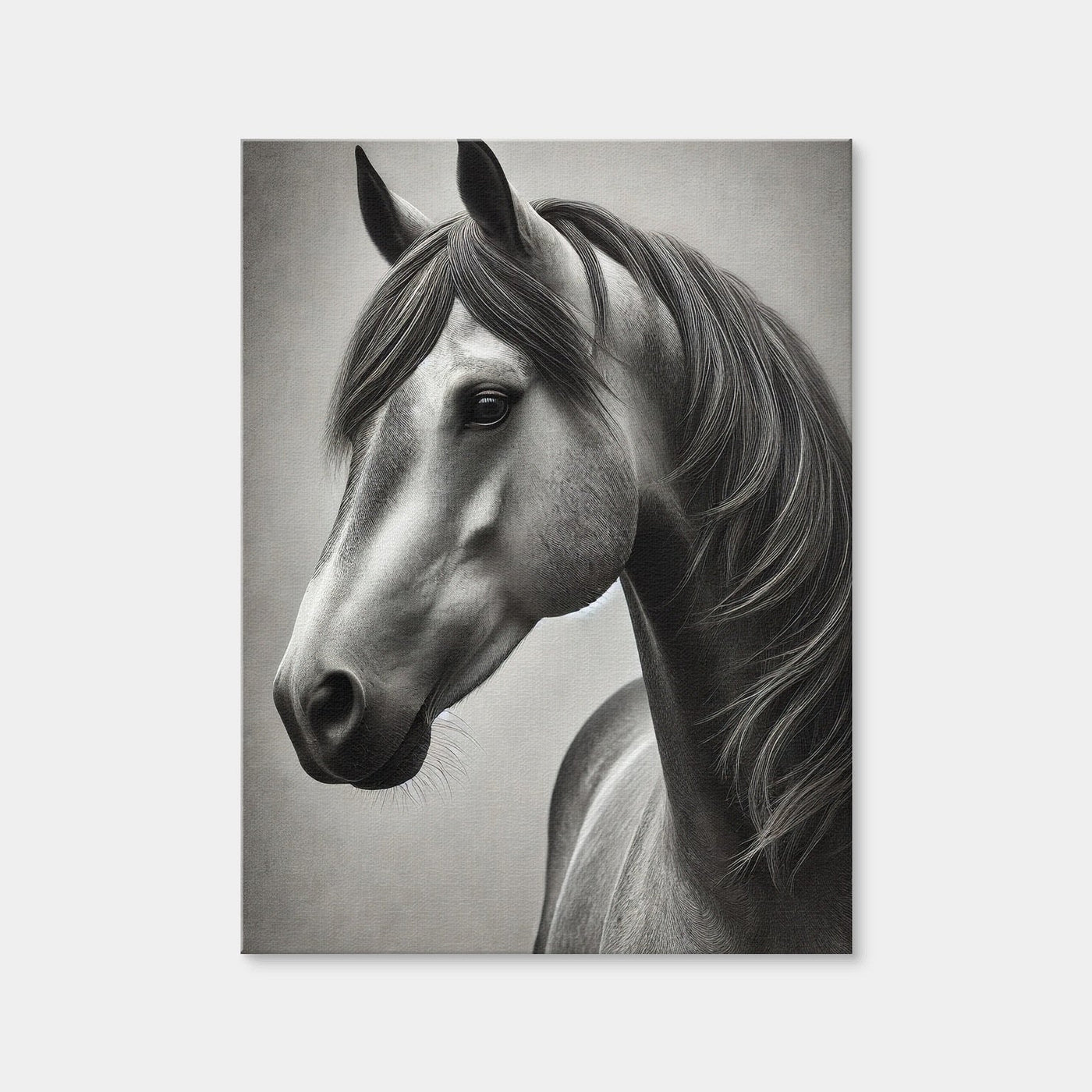 AUTO-MOCKUP WHITE | Grayscale Quarter Horse | 1 Piece | Gallery Wrap Canvas | group=3x4