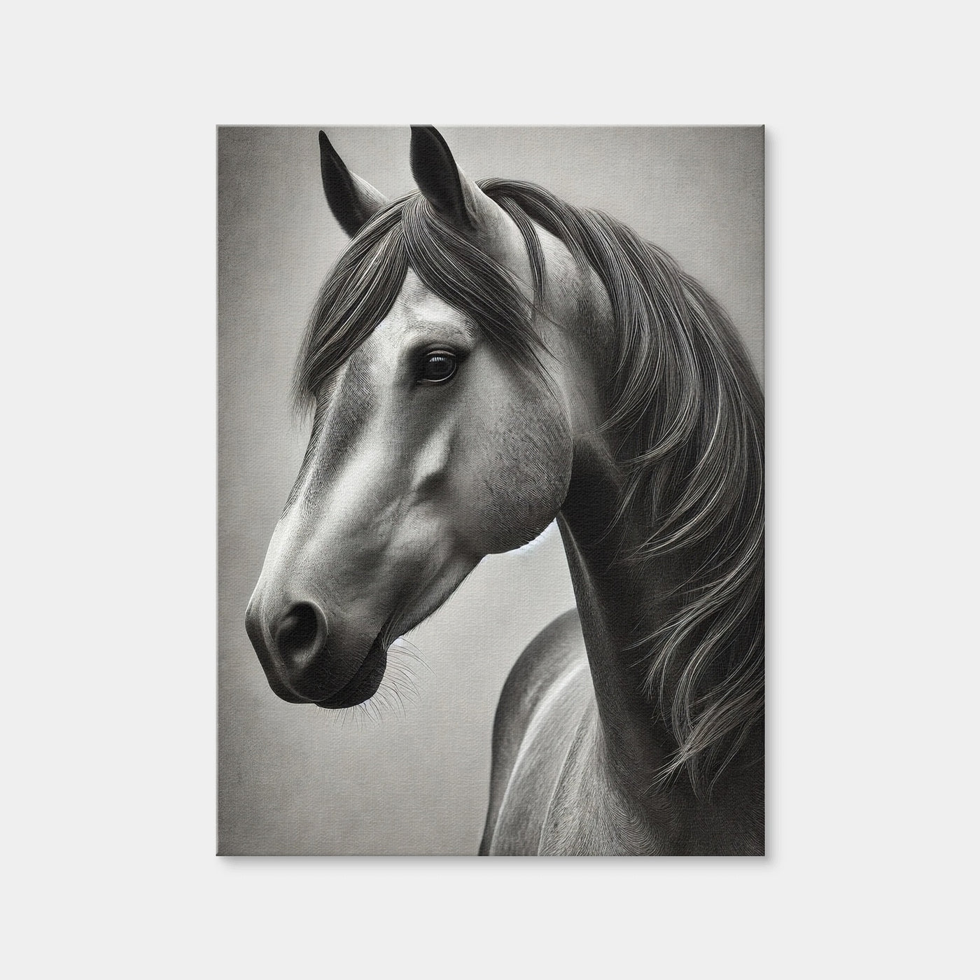 AUTO-MOCKUP WHITE | Grayscale Quarter Horse | 1 Piece | Gallery Wrap Canvas | group=3x4