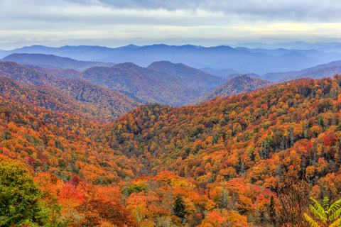 Great Smoky Mountains Autumn Wall Art