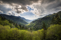 Great Smoky Mountains National Park Wall Art