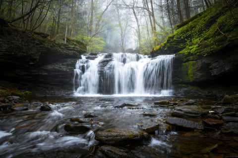 Green Serenity Wall Art