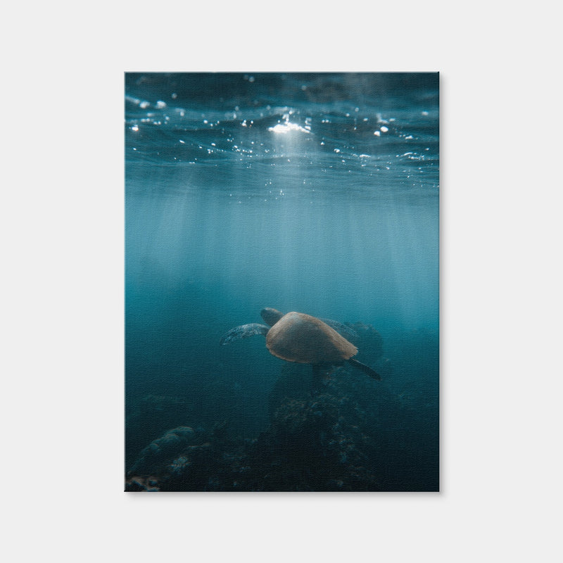 AUTO-MOCKUP WHITE | Hawaii Turtle | 1 Piece | Gallery Wrap Canvas | group=3x4
