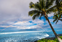 Hawaiian Landscape Wall Art