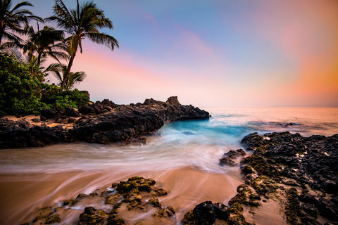 Hawaiian Paradise Wall Art