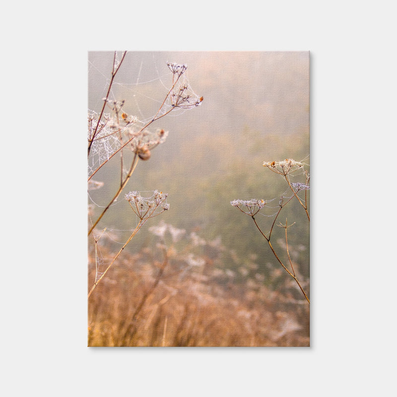 AUTO-MOCKUP WHITE | Headley Heath Dew | 1 Piece | Gallery Wrap Canvas | group=3x4