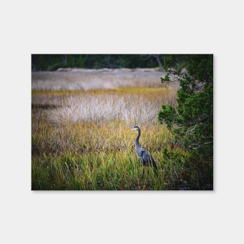 AUTO-MOCKUP WHITE | Heron Jekyll Island | 1 Piece | Gallery Wrap Canvas | group=4x3