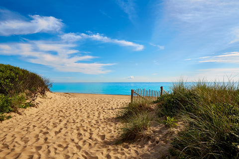Herring Cove Beach Wall Art