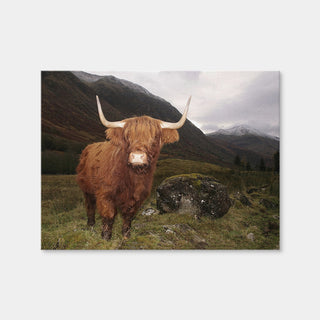 AUTO-MOCKUP WHITE | Highland cow in Glen Coe | 1 Piece | Gallery Wrap Canvas | group=4x3