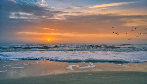 Hilton Head Wall Art