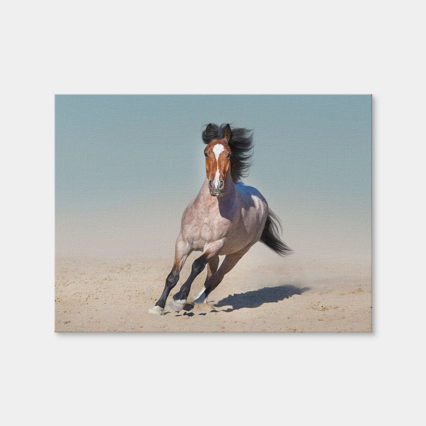 AUTO-MOCKUP WHITE | Horse Desert Run | 1 Piece | Gallery Wrap Canvas | group=4x3
