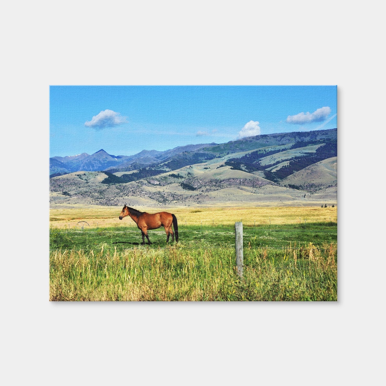 AUTO-MOCKUP WHITE | Horse Grazes in Paradise Valley | 1 Piece | Gallery Wrap Canvas | group=4x3