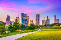 Houston Cityscape Wall Art