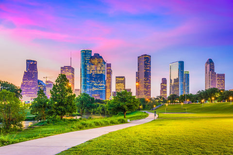 Houston Cityscape Wall Art