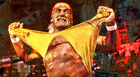 Hulk Hogan Wall Art