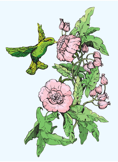 Hummingbird Drinking Nectar Wall Art