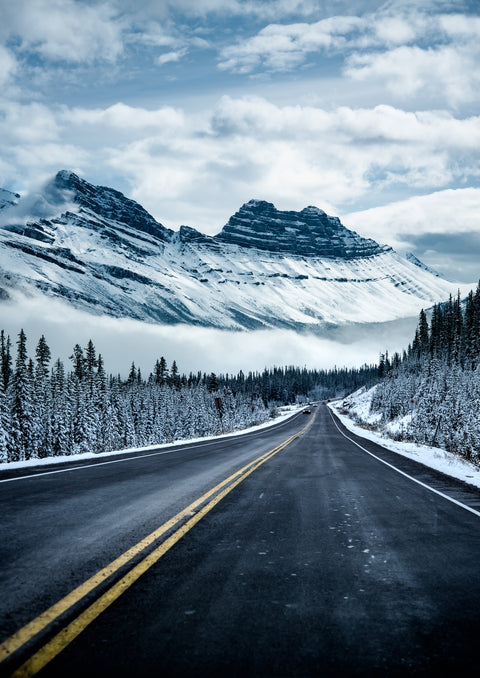 Icy Roads Wall Art