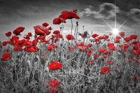 Idyllic Field of Poppies with Sun Wall Art