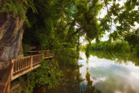 Ijam Nature Park Boardwalk Wall Art
