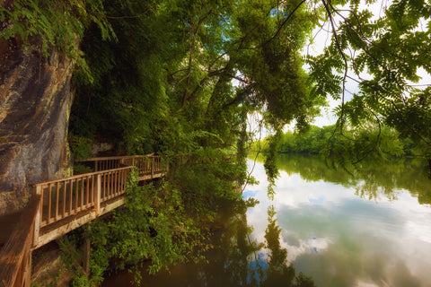 Ijam Nature Park Boardwalk Wall Art