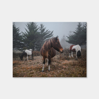 AUTO-MOCKUP WHITE | In The Wild | 1 Piece | Gallery Wrap Canvas | group=4x3