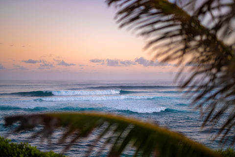 Island Morning Wall Art