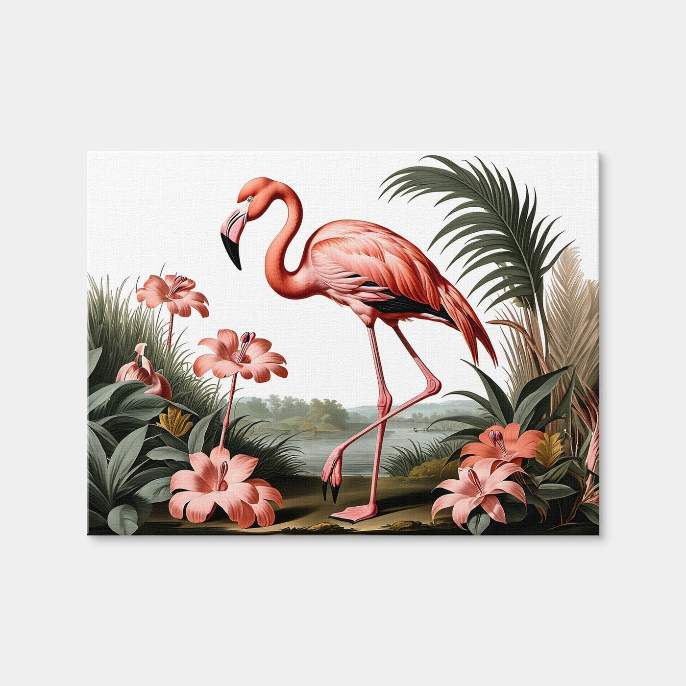 AUTO-MOCKUP WHITE | JJ Audubon's Style Flamingo | 1 Piece | Gallery Wrap Canvas | group=4x3