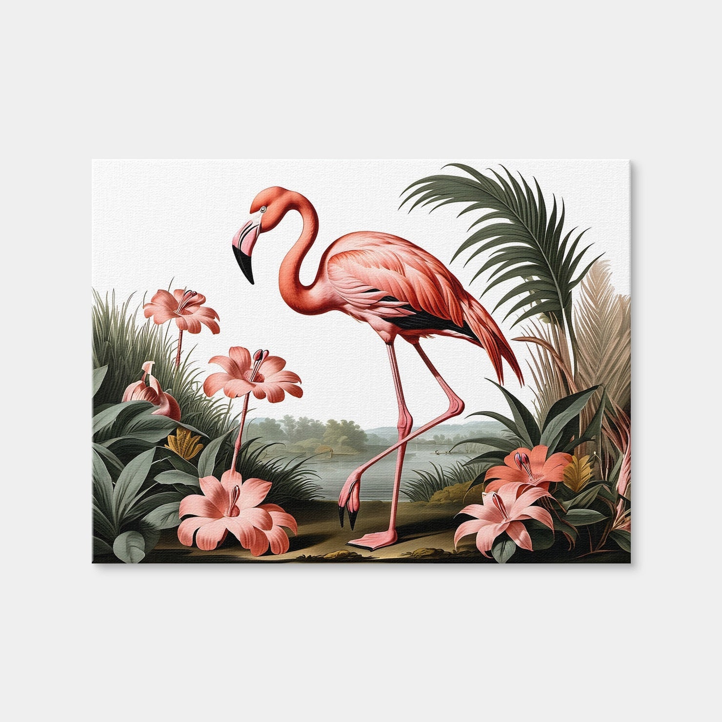 AUTO-MOCKUP WHITE | JJ Audubon's Style Flamingo | 1 Piece | Gallery Wrap Canvas | group=4x3