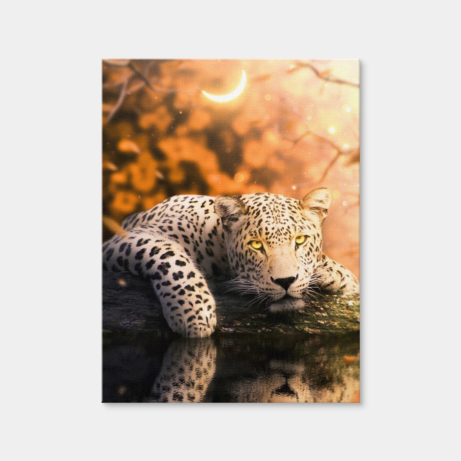 AUTO-MOCKUP WHITE | Jaguar | 1 Piece | Gallery Wrap Canvas | group=3x4