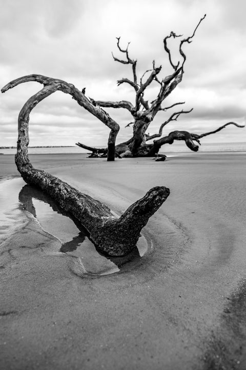 Jekyll Island Wall Art