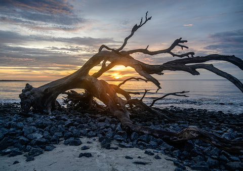 Jekyll Island Georgia Wall Art