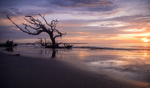 Jekyll Island Sunset Wall Art