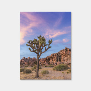 AUTO-MOCKUP WHITE | Joshua Tree Evening Atmosphere | 1 Piece | Gallery Wrap Canvas | group=3x4