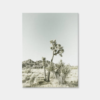 AUTO-MOCKUP WHITE | Joshua Tree National Park Vintage | 1 Piece | Gallery Wrap Canvas | group=3x4