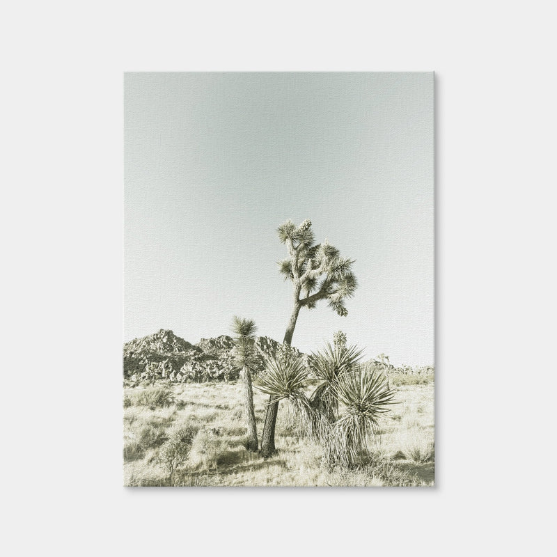 AUTO-MOCKUP WHITE | Joshua Tree National Park Vintage | 1 Piece | Gallery Wrap Canvas | group=3x4