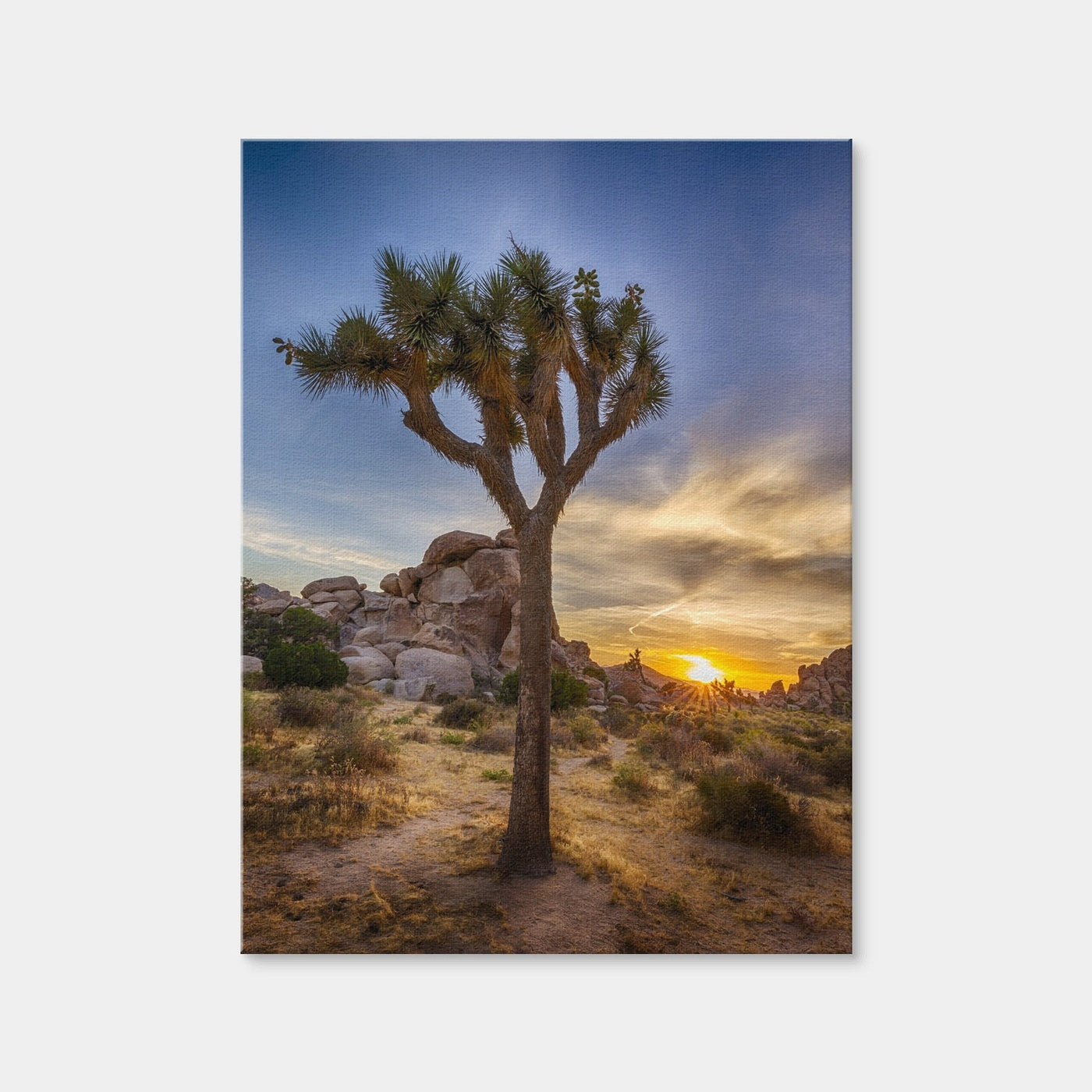 AUTO-MOCKUP WHITE | Joshua Tree National Park | 1 Piece | Gallery Wrap Canvas | group=3x4