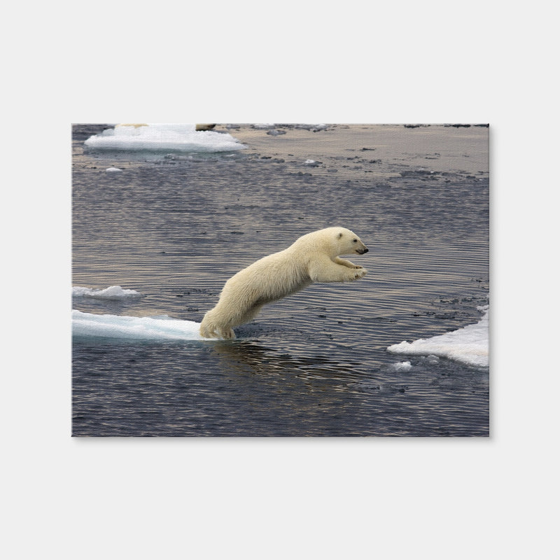 AUTO-MOCKUP WHITE | Jumping Polar Bear | 1 Piece | Gallery Wrap Canvas | group=4x3
