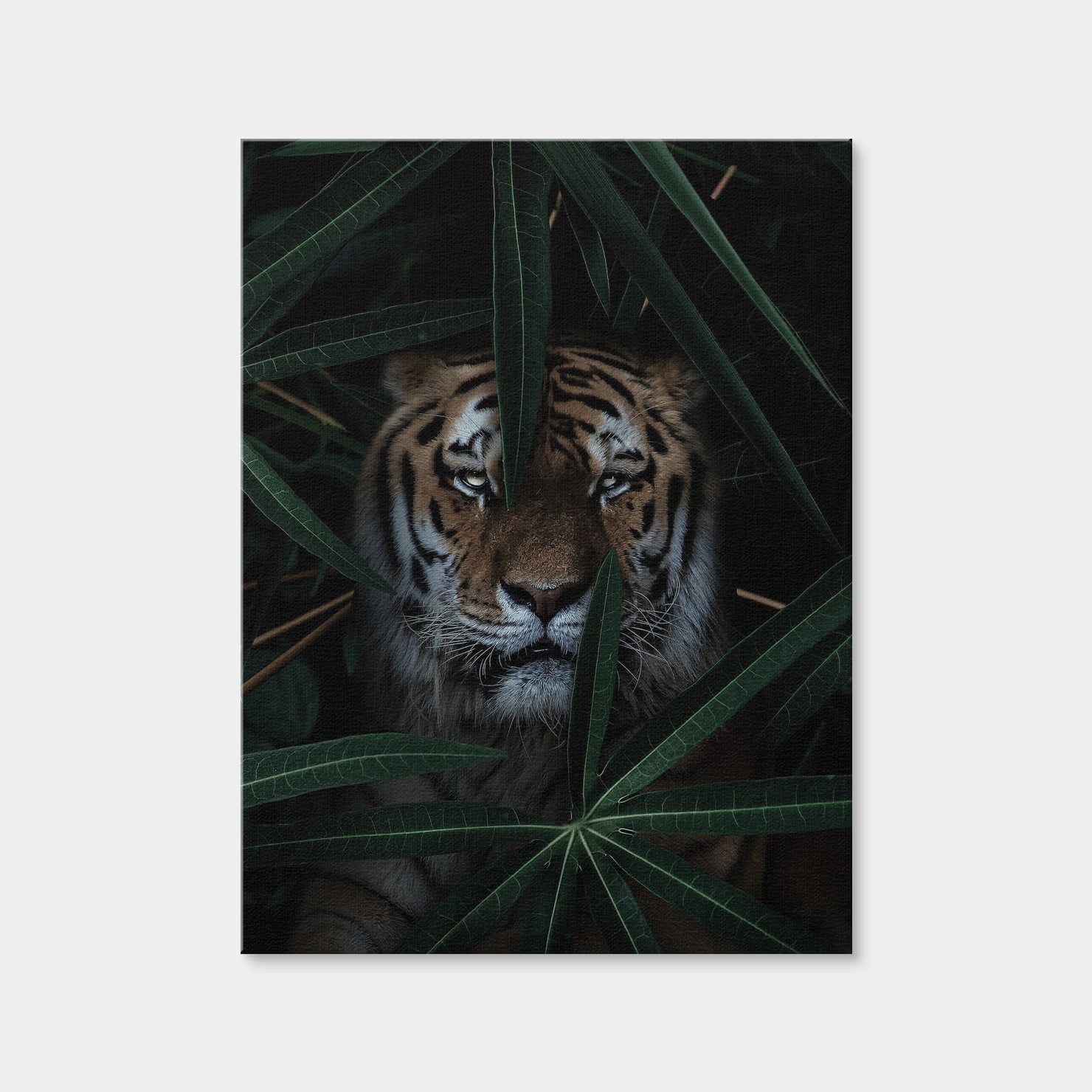 AUTO-MOCKUP WHITE | Jungle Cat | 1 Piece | Gallery Wrap Canvas | group=3x4