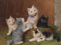 Katzenkinder Wall Art