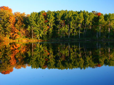 Kettle Moraine State Forest Wall Art