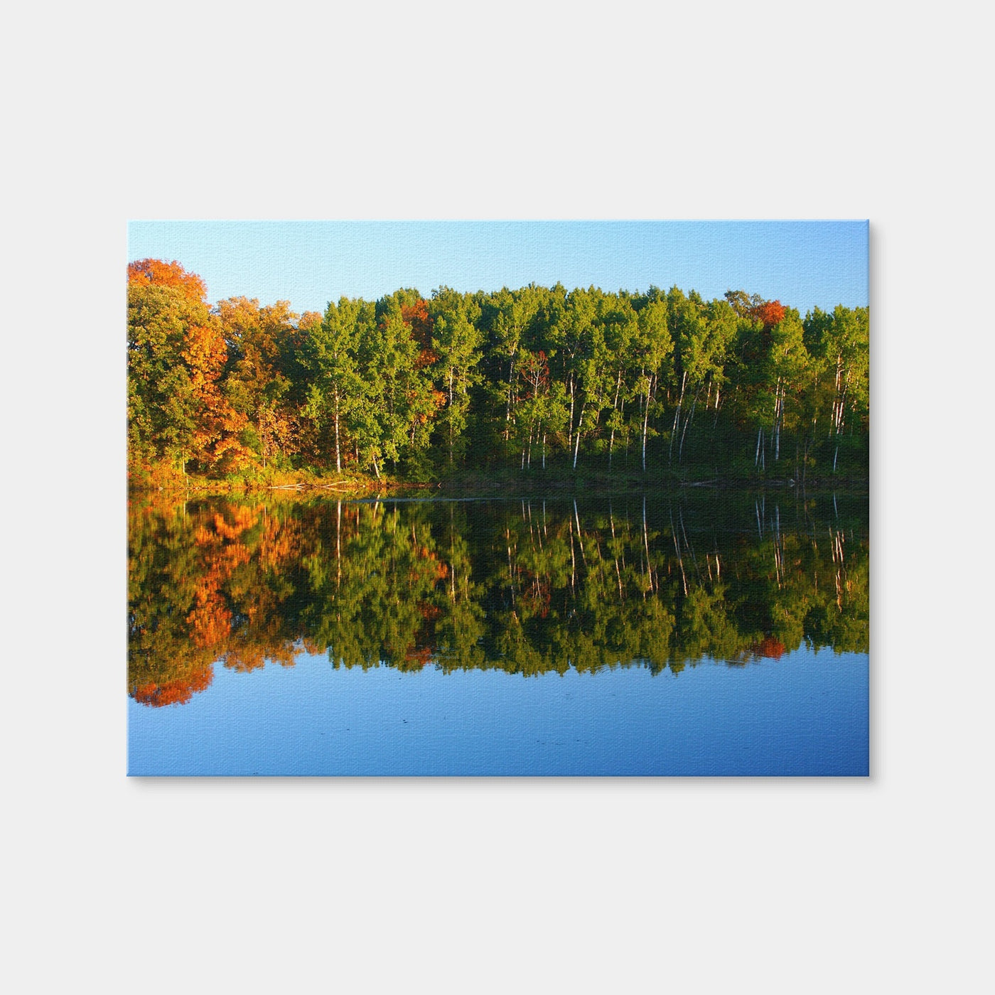 AUTO-MOCKUP WHITE | Kettle Moraine State Forest | 1 Piece | Gallery Wrap Canvas | group=4x3