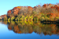 Kickapoo State Park Wall Art