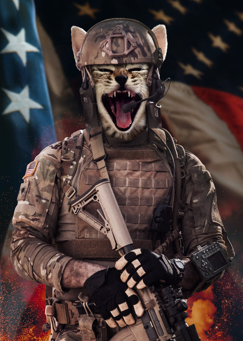 Kitty Soldier Wall Art