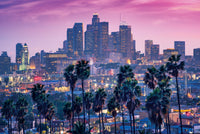 LA Palm Tree Sunset Wall Art