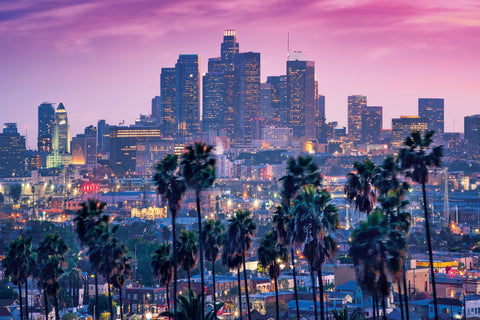 LA Palm Tree Sunset Wall Art