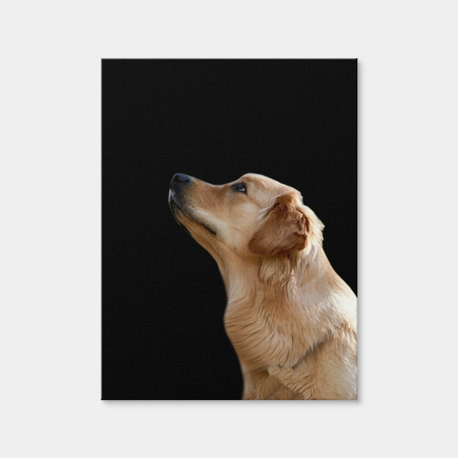 AUTO-MOCKUP WHITE | Labrador Retriever | 1 Piece | Gallery Wrap Canvas | group=3x4