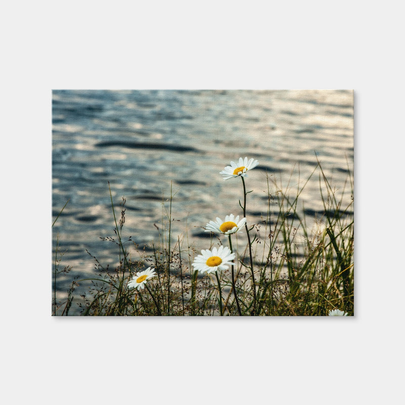 AUTO-MOCKUP WHITE | Lake Flowers | 1 Piece | Gallery Wrap Canvas | group=4x3